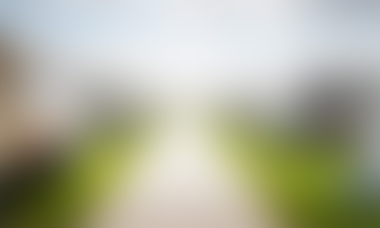 blog preview image